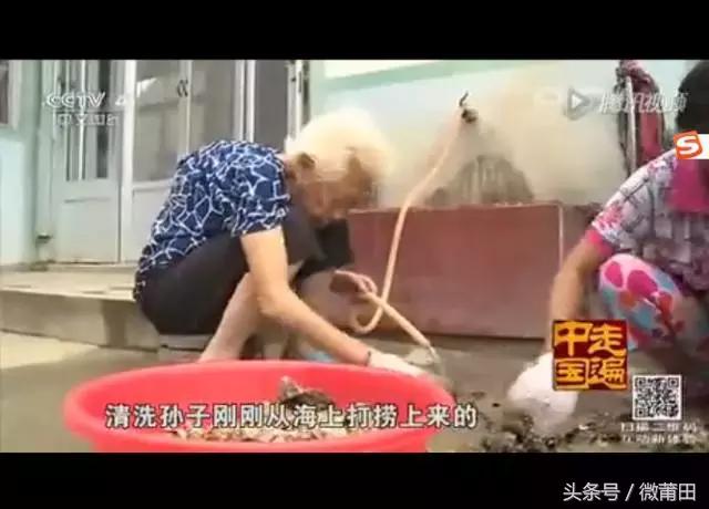 莆田牡蛎吃法,莆田海蛎的美味