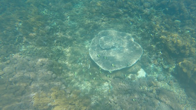 巴厘岛2天自由行,巴厘岛十一天自由行