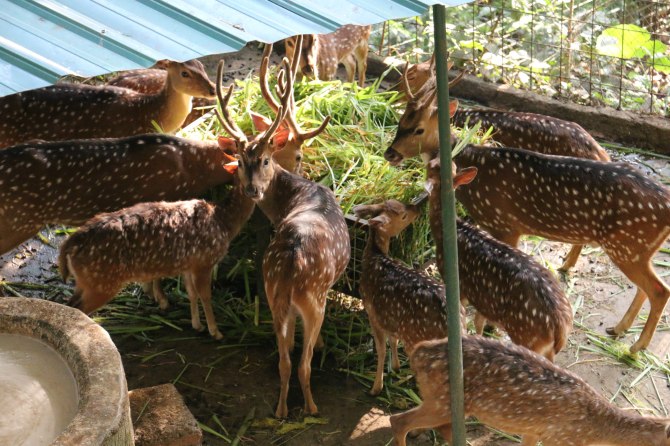 巴厘岛2天自由行,巴厘岛十一天自由行