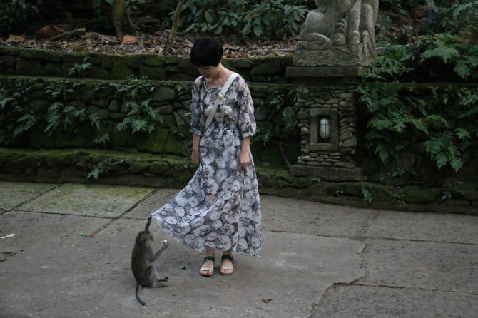 巴厘岛2天自由行,巴厘岛十一天自由行