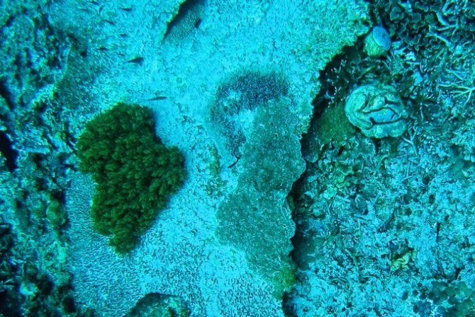 巴厘岛自由行5日游,巴厘岛天堂之旅