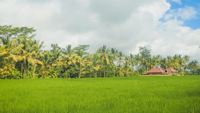 巴厘岛自由行5日游,巴厘岛天堂之旅