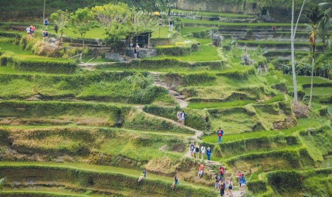 巴厘岛自由行5日游,巴厘岛天堂之旅