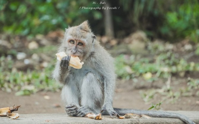 巴厘岛自由行5日游,巴厘岛天堂之旅