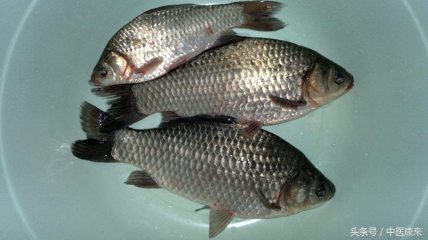 嘴巴淡而无味口干怎么回事,嘴巴淡无味舌头涩该怎么调理