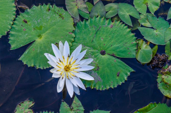 巴厘岛spa旅游游记 (巴厘岛悦榕庄游玩攻略)