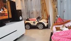 猫主子的日常练就一切技能,这才是猫应有的样子