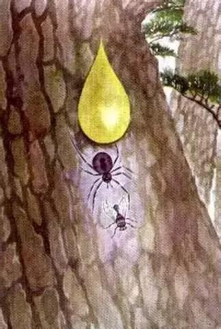 岳阳记忆，8090后经典小学课本插画，你还能认出几个？