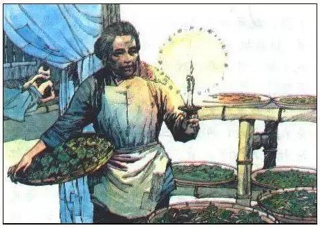 岳阳记忆，8090后经典小学课本插画，你还能认出几个？