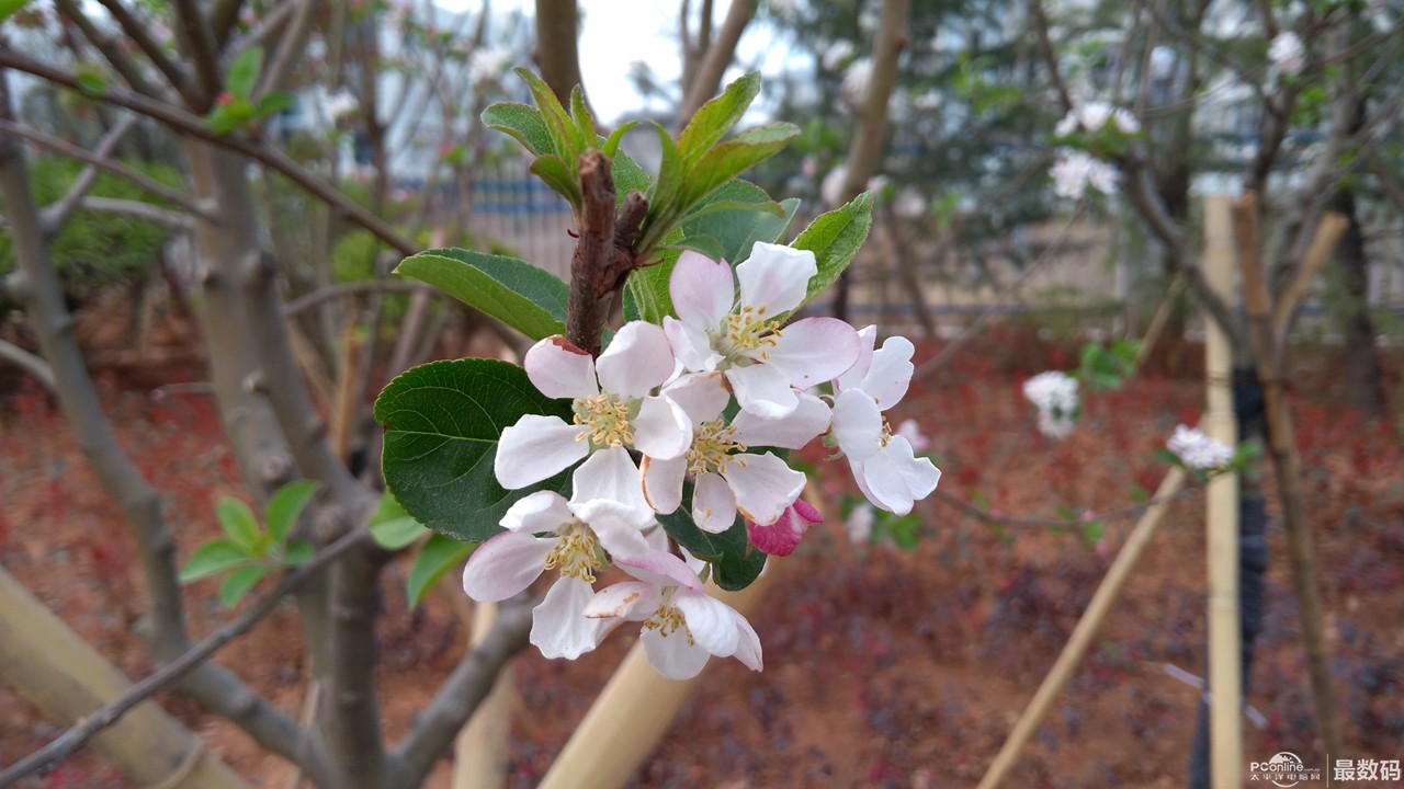 5100mah大电池,5100毫安大续航和120瓦快充