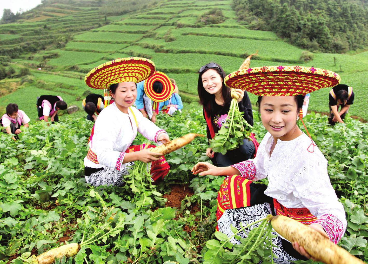 特色农业创业好项目推荐,休闲农业创业新思路有哪些内容