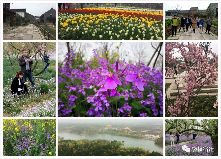 宿迁在宿迁人眼中,宿迁到底有多好