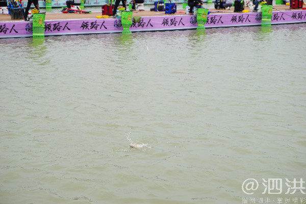 泗洪洪泽湖国际垂钓大赛开幕,泗洪洪泽湖大圆塘休闲垂钓邀请赛