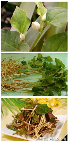 大别山深处的绝美山珍！