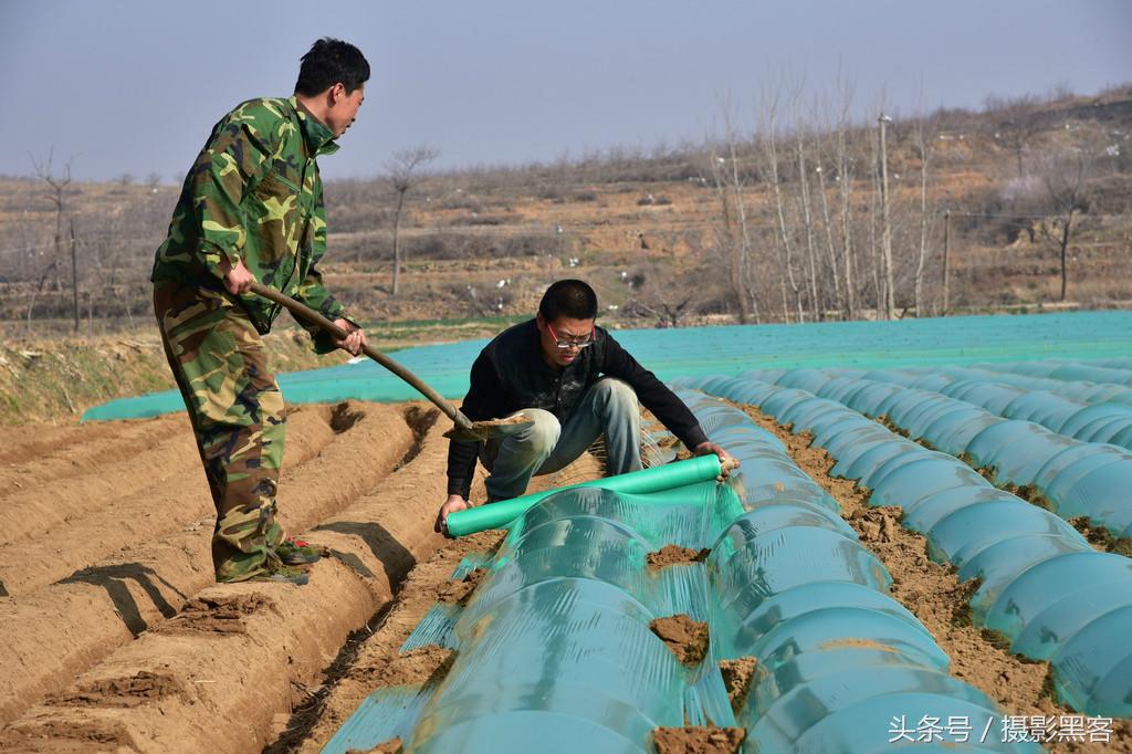 濞佹捣涔冲北妯辨,灞变笢涔冲北妯辨