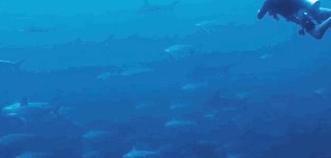 weekendescape,weekendescape什么意思