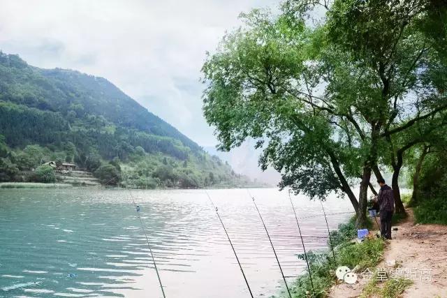 别再跟我抱怨金堂！2017，庆幸自己没离开！