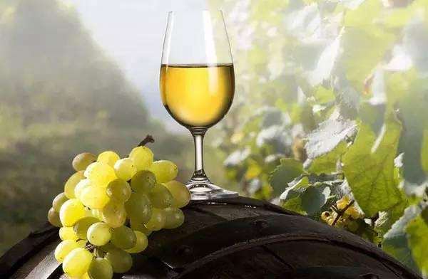 做一个葡萄酒世界里的好色之徒