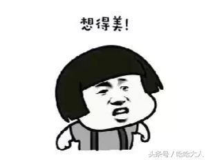 狗狗撕家怎么管教,狗狗撕家视频