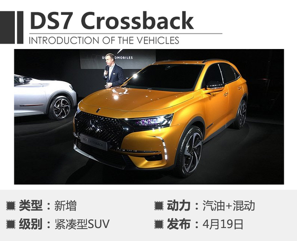 上海车展2019有些什么车,今年上海车展最值得看的车