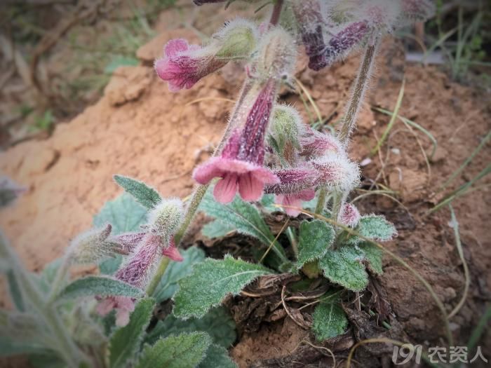 农村有这几样东西别扔,农村人这几种事千万不要做