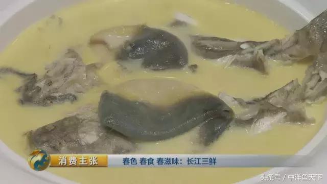 鲥鱼和刀鱼的鲜美,刀鱼鲥鱼河豚被称为长江三鲜