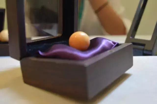 海螺吐出龙珠的视频,海螺吃出天价龙珠