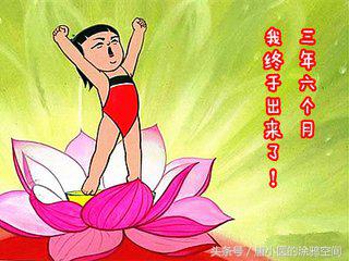 超过预产期12天,适时干预还是顺其自然?西医与中医的遭遇战