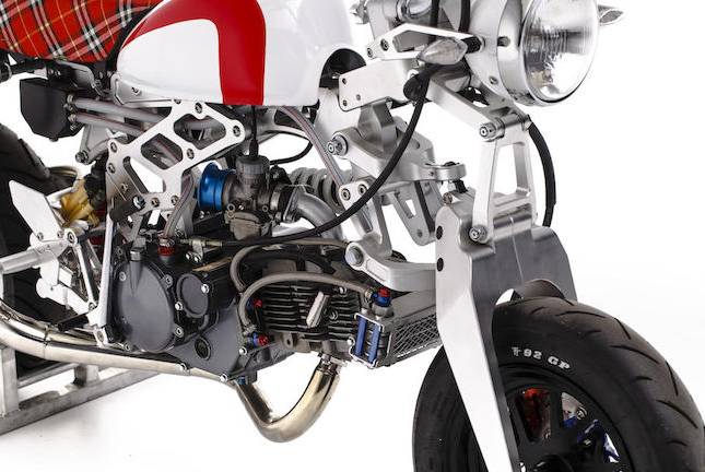 猴猴猴赛雷,猴赛雷猴子视频