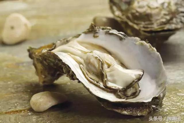 莆田牡蛎吃法,莆田海蛎的美味
