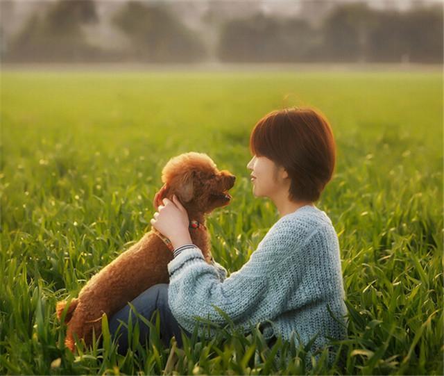 生肖狗82年农历八月十四出生,82年正月出生生肖狗的婚姻如何