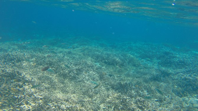 巴厘岛2天自由行,巴厘岛十一天自由行