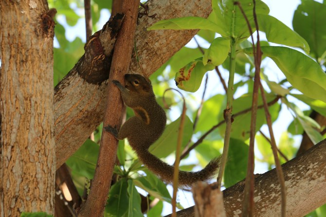 巴厘岛2天自由行,巴厘岛十一天自由行