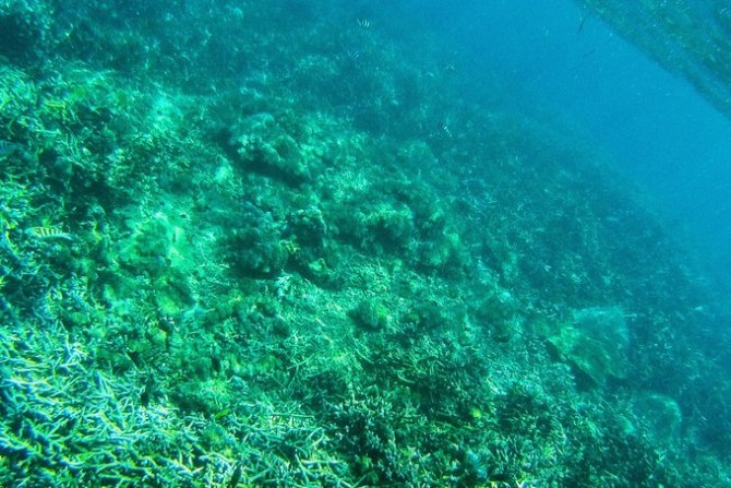 巴厘岛自由行5日游,巴厘岛天堂之旅