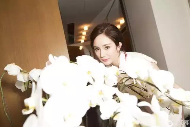 扒一扒杨幂黄子韬,扒一扒杨幂出道史