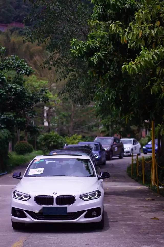 不用去罗平也可以看油菜花,不用去日本也能看的樱花海