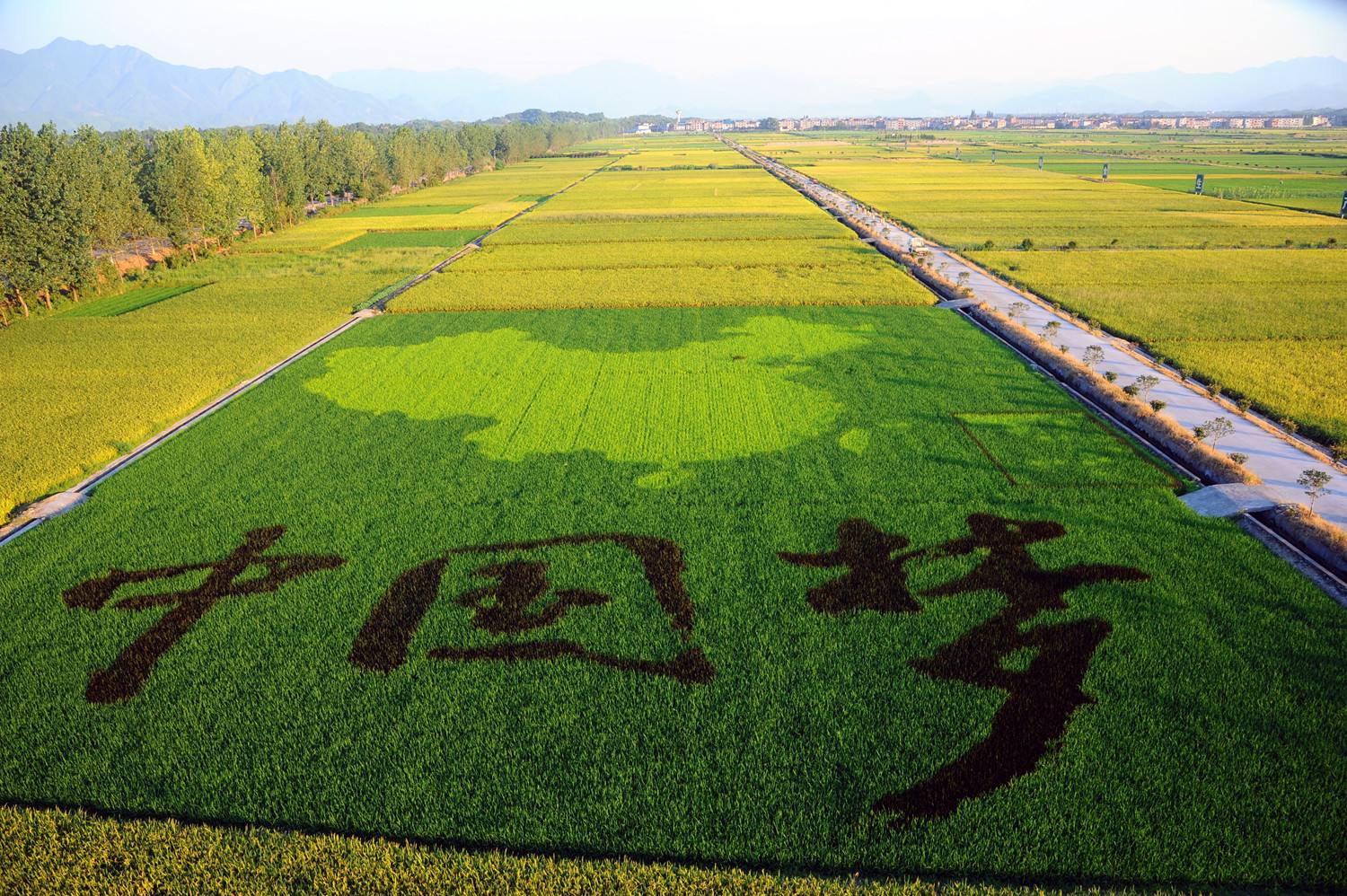 特色农业创业好项目推荐,休闲农业创业新思路有哪些内容
