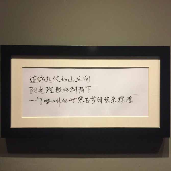 新款阿特兹西藏自驾游,国内阿特兹旅行版