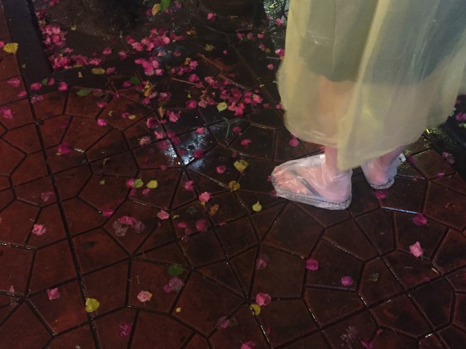 新款阿特兹西藏自驾游,国内阿特兹旅行版