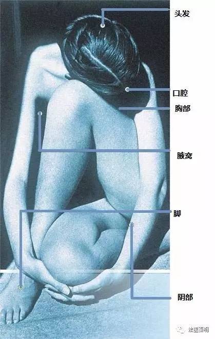 只有异性能闻到对方体香吗,为啥能闻到异性朋友的体香