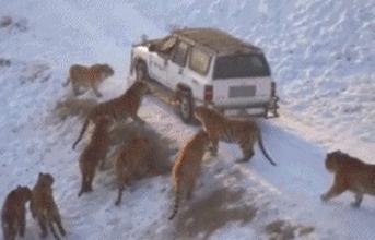 钱没拿到还被打了一顿,钱没挣到把人撞了