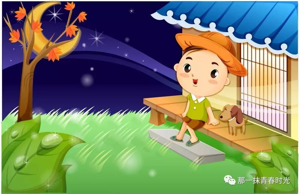 一条神奇的狗又可爱又聪明,一只超级神奇的狗狗