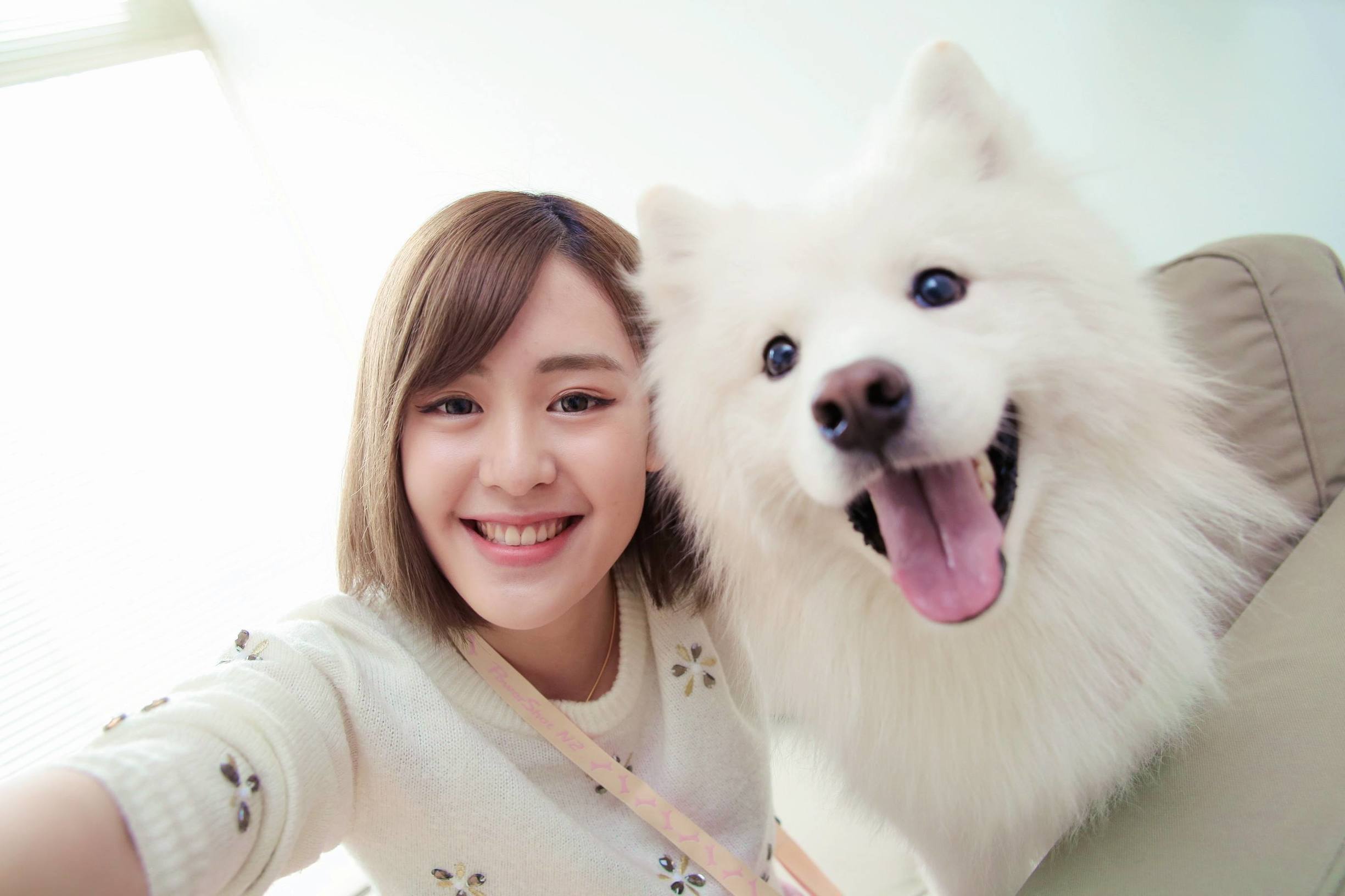 和田玉十大陷阱,和田玉玩的是细度还是油性