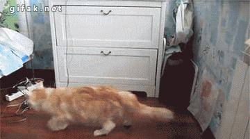 上课逗女同学,每个班里都会有这么一个逗逼