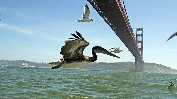 电影一座神奇的监狱,一个监狱在一个岛上电影