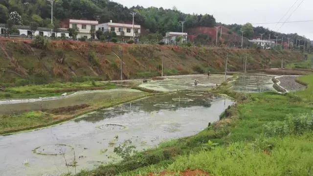 战士第二故乡原创,原创家乡