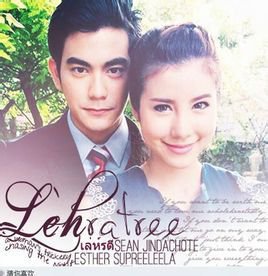 一入泰圈深似海,一入泰圈深似海解说