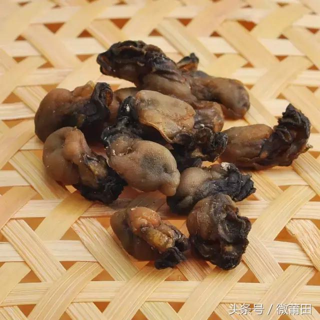 莆田牡蛎吃法,莆田海蛎的美味