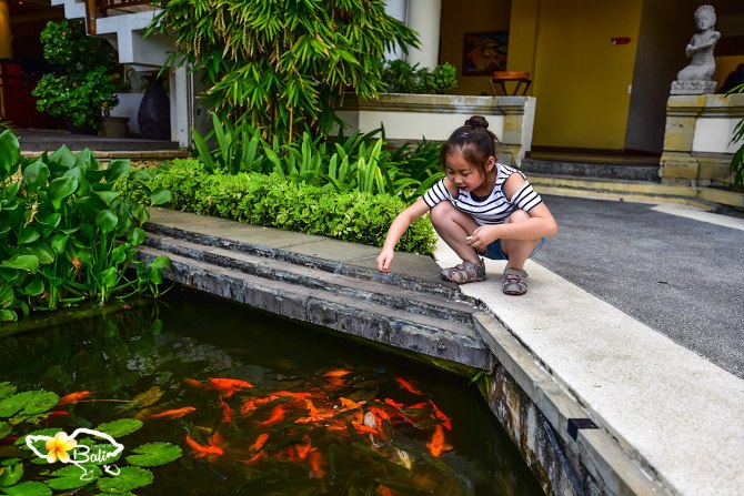 夏日国外巴厘岛避暑旅游推荐,巴厘岛夏天的风景
