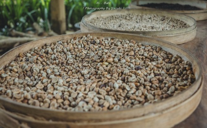 巴厘岛自由行5日游,巴厘岛天堂之旅